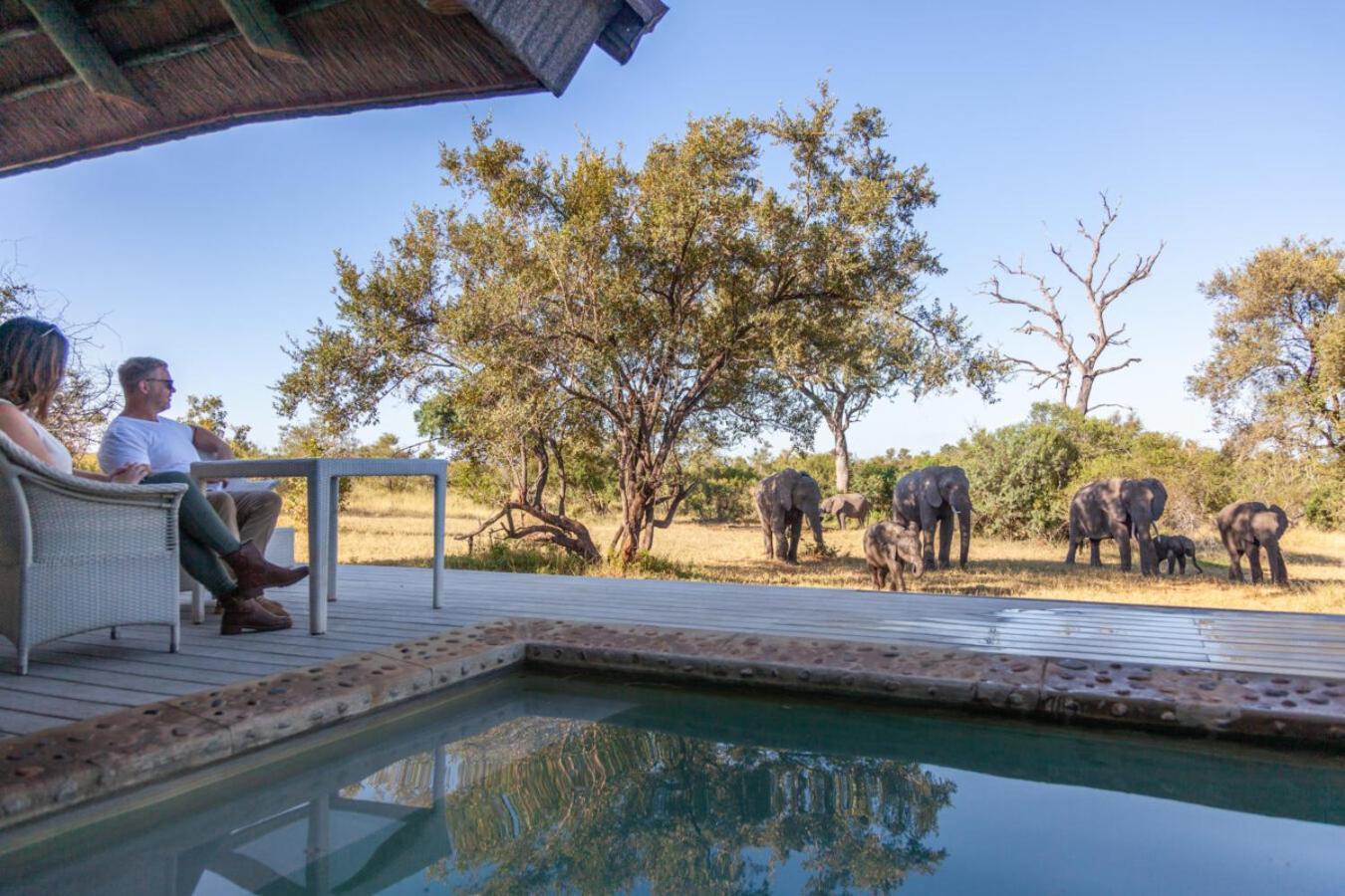Leopard Hills Private Game Reserve Sabi Sand Game Reserve Exteriér fotografie