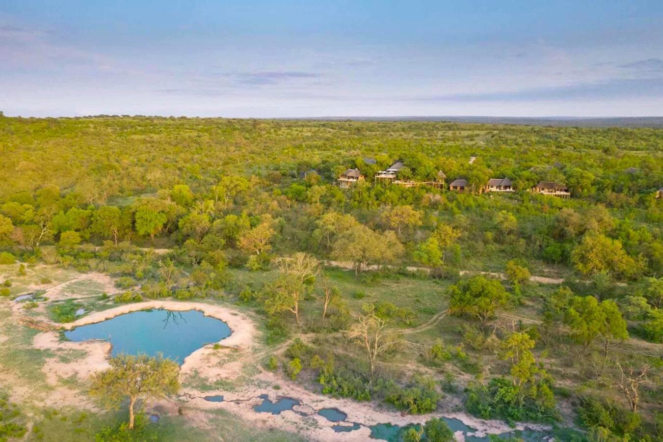Leopard Hills Private Game Reserve Sabi Sand Game Reserve Exteriér fotografie