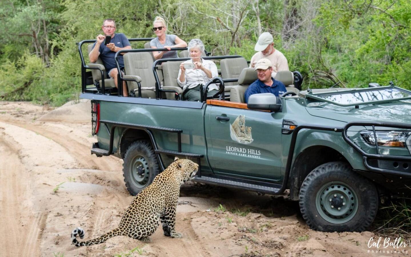 Leopard Hills Private Game Reserve Sabi Sand Game Reserve Exteriér fotografie