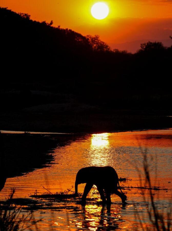 Leopard Hills Private Game Reserve Sabi Sand Game Reserve Exteriér fotografie